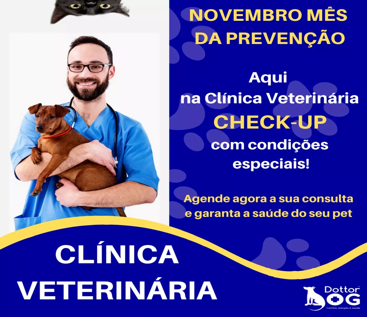 Novembro Azul Pet com condições especiais aqui na Clínica Veterinária Dottor Dog